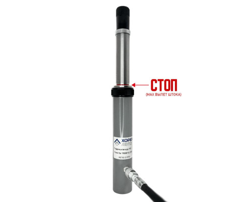 Гидроцилиндр 10 т Хорекс Авто HZ 02.2.015J — купить с доставкой и гарантией качества Гидроцилиндр 10 т Хорекс Авто HZ 02.2.015J — купить с доставкой и гарантией качества